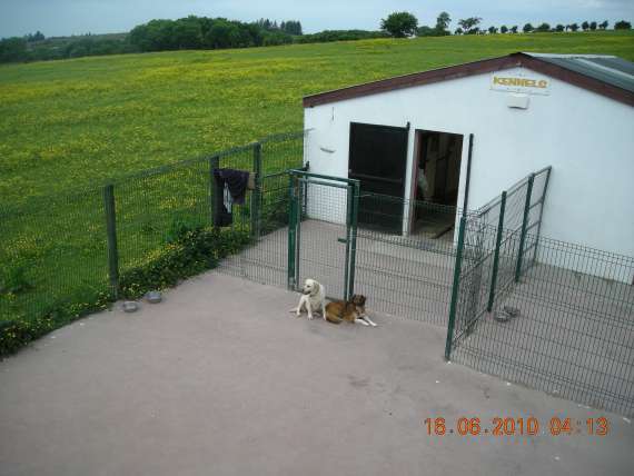 kennels location