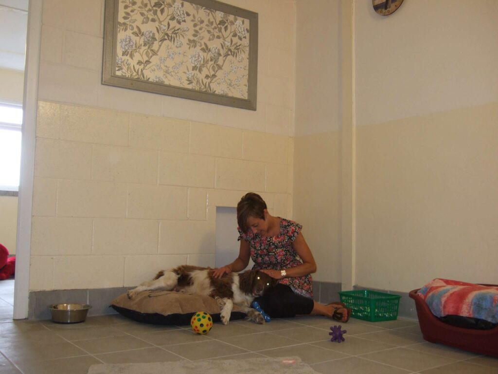 The Grove Kennel Sleep