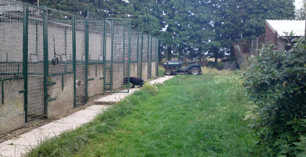 Fairview Boarding Kennels building