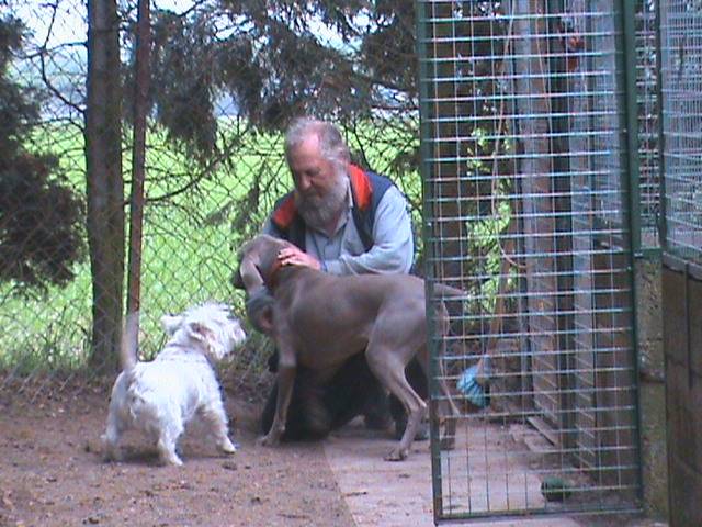 Fairview Boarding Kennels staff