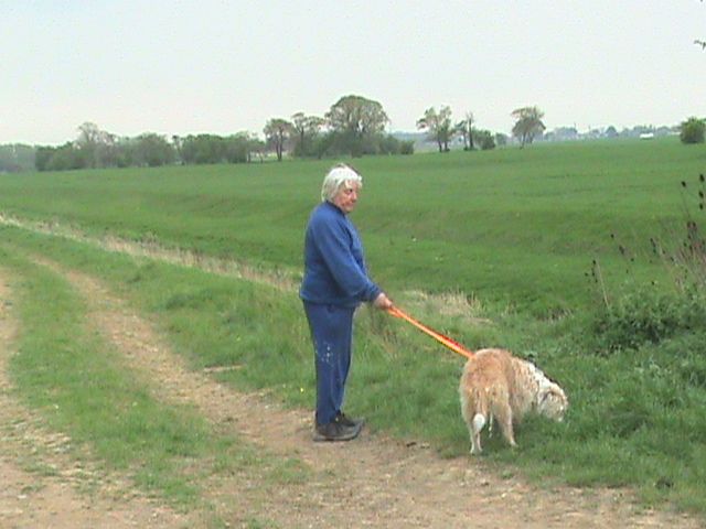 Fairview Boarding Kennels walks